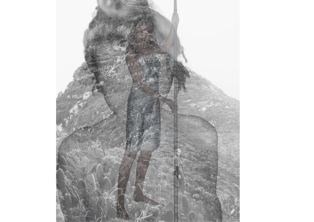 Ténérife la magnifique